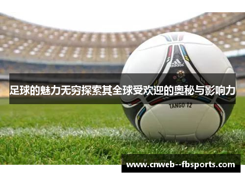 足球的魅力无穷探索其全球受欢迎的奥秘与影响力